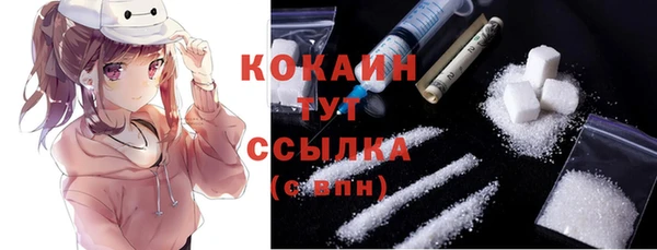 меф Арсеньев