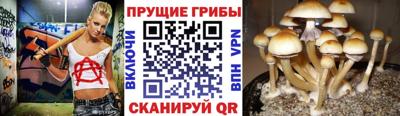 Псилоцибиновые грибы мухоморы  наркошоп  ссылка на мегу ссылка  Краснообск 